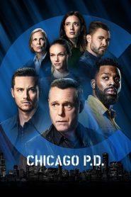 Chicago Police Department saison 9 poster