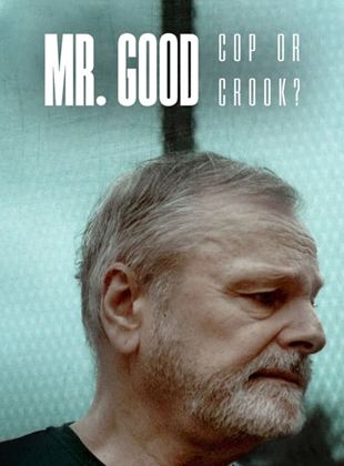 Mr. Good : Flic ou baron ? saison 1 poster