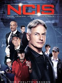 NCIS : Enquêtes spéciales saison 12 poster