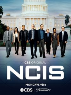 NCIS : Enquêtes spéciales saison 20 poster
