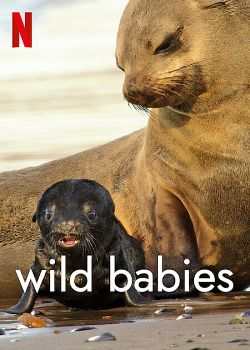 Wild Babies : Petits et Sauvages saison 1 poster